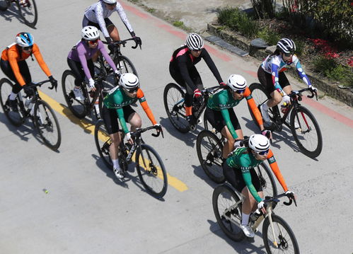体育 自行车 黄山国际公开赛 公路自行车女子精英组赛况